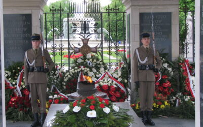 E_elsendo el la 10.11.2025