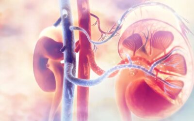 E_elsendo el la 30.01.2026