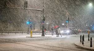 E_elsendo el la 05.02.2026