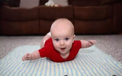 E_elsendo el la 20.02.2026