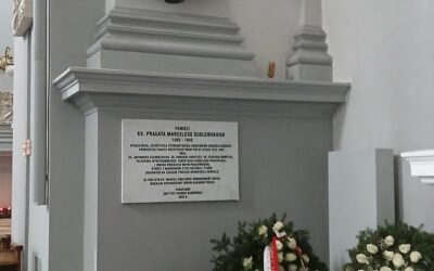 E_elsendo el la 25.03.2026