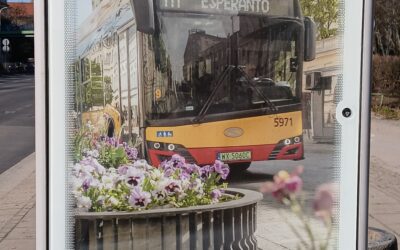 E_elsendo el la 25.04.2026